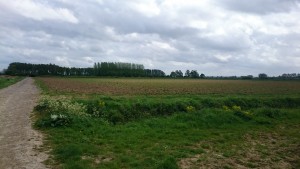 Battle of Aubers Ridge